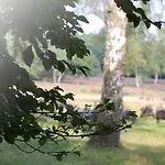 Apartmán Heide