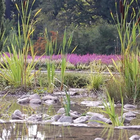 Heide Apartman Schneverdingen